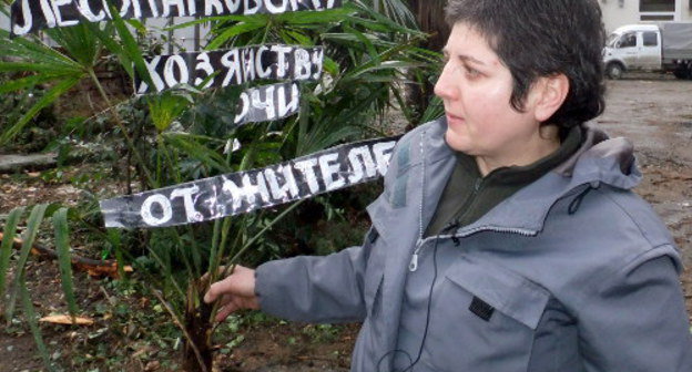 Sochi, January 11, 2012: a solo picket on the Day of Nature Protection in the place of tree felling at No. 30 Krasnoarmeiskaya Street. Olga Noskovets, an activist of the Ecological Watch for Northern Caucasus holds a funeral wreath made of a cut-off palm tree. Photo by Svetlana Kravchenko for the "Caucasian Knot"