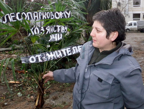 Sochi, January 11, 2012: a solo picket on the Day of Nature Protection in the place of tree felling at No. 30 Krasnoarmeiskaya Street. Olga Noskovets, an activist of the Ecological Watch for Northern Caucasus holds a funeral wreath made of a cut-off palm tree. Photo by Svetlana Kravchenko for the "Caucasian Knot"