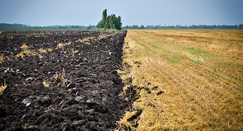 Agricultural land. Photo: https://www.yuga.ru/news/246611/