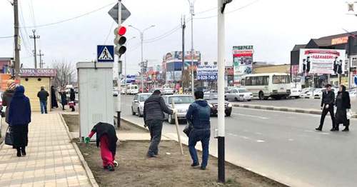 Subbotnik in Grozny. March 13, 2017. Photo: Ibragim Temirkhanov / IA "Grozny-Inform"