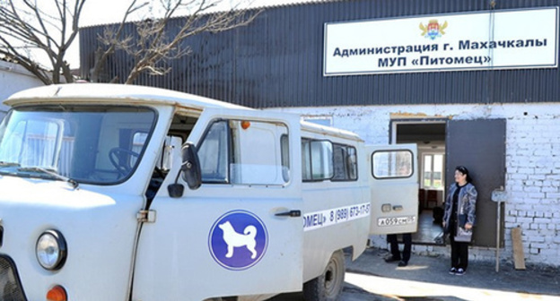 Shelter for stray dogs in Makhachkala. Photo: http://www.riadagestan.ru/news/makhachkala/makhachkalinskiy