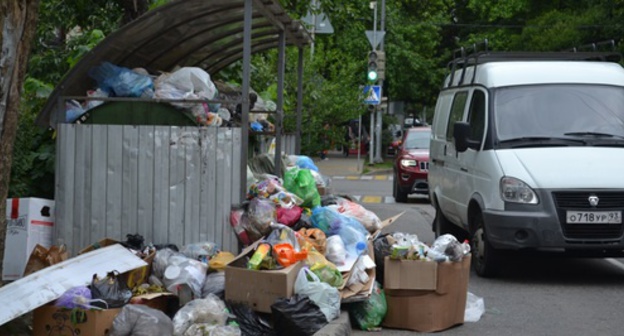 Garbage in Sochi. Photo by Svetlana Kravchenko for "Caucasian Knot"