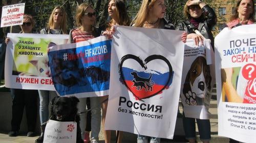 Rally of zoo activists in Rostov-on-Don, April 14, 2018. Photo by Konstantin Volgin for the Caucasian Knot