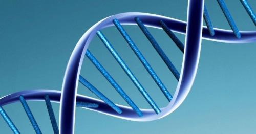 The DNA molecule. Photo: wikipedia.org