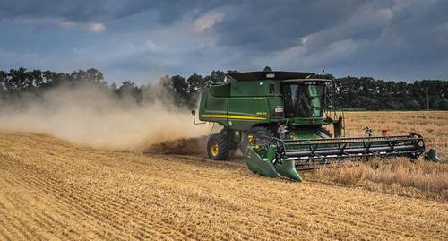 Harvesting. Photo: yuga.ru