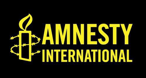 Logo of the Amnesty International, screenshot of the website https://www.amnesty.org