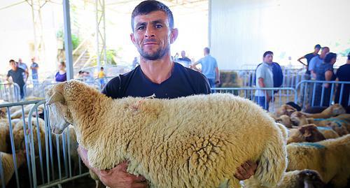 A man holds a sacrificial sheep. Photo by Aziz Karimov for the Caucasian Knot
