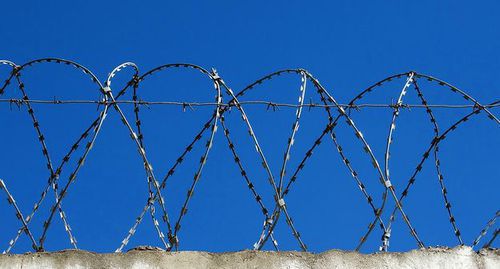 Barbed wire. Photo by Nina Tumanova for the "Caucasian Knot"