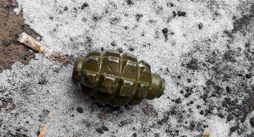 A hand grenade. Photo: press service of Rosgvardia