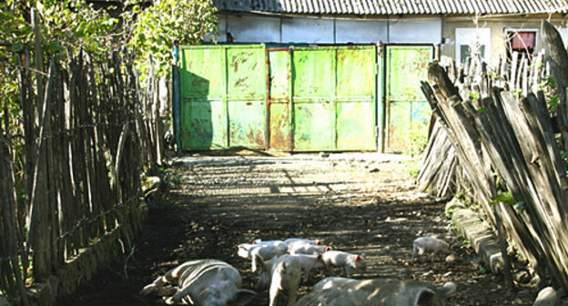 A dwelling house in Perevi village, Georgia, October 2010. Photo by http://springator.livejournal.com