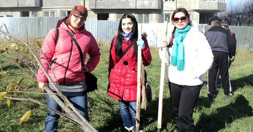 Participants of ecological action ‘Days of Green Culture’. Nalchik, November 9, 2014, Photo by Lyudmila Maratova for the ‘Caucasian Knot’.
