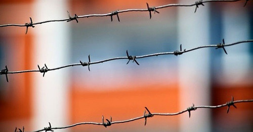 Barbed wire. Photo: Yuri Grechko/Yugopolis 