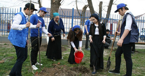 Planting trees in the school territories of the educational institutions of Chechnya. April 2015. Photo http://chechnyatoday.com/content/view/278231'