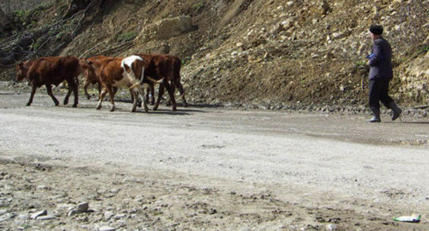 Ingushetia. Photo by http://ru.wikipedia.org