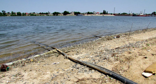 The Kizan River bank, Astrakhan Region, July 2015. Photo by Vyacheslav Yaschenko for the ‘Caucasian Knot’. 