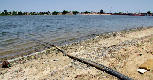 The Kizan River bank, Astrakhan Region, July 2015. Photo by Vyacheslav Yaschenko for the ‘Caucasian Knot’. 