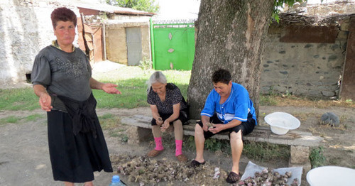 The residents of the frontier village Talish state that they got used to the shooting sounds. Nagorno-Karabakh, Martakert Region, June 2014. Photo by Alvard Grigoryan for the "Caucasian Knot"