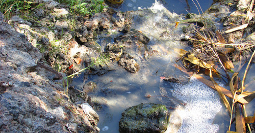Untreated sewage of Dzerzhinskiy District of Volgograd gets into ponds polluting the Volga river. Volgograd, August 2015. Photo by Vyacheslav Yaschenko for the ‘Caucasian Knot’. 