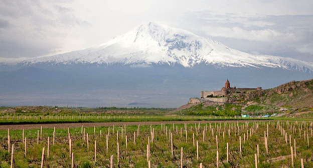 Vineyards in the Ararat Region. Armenia. Photo: Maks Karochkin https://ru.wikipedia.org