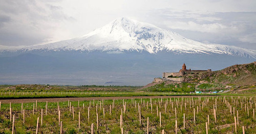 Vineyards in the Ararat Region. Armenia. Photo: Maks Karochkin https://ru.wikipedia.org