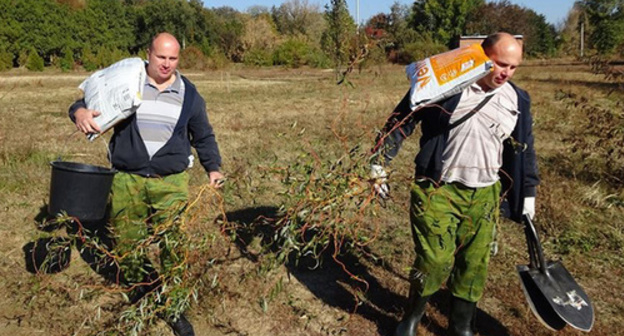 Roman and Vladimir Milchenko plant out seedlings in the territory of SFedU Botanical Garden, 17.10.2015. Photo: the official page of the "Green Union" at Facebook https://www.facebook.com/greenunion.ru?fref=photo