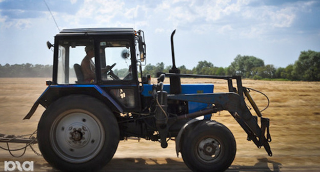 Reaping. © Yelena Sineok. YUGA.ru, https://www.yuga.ru/news/393110/