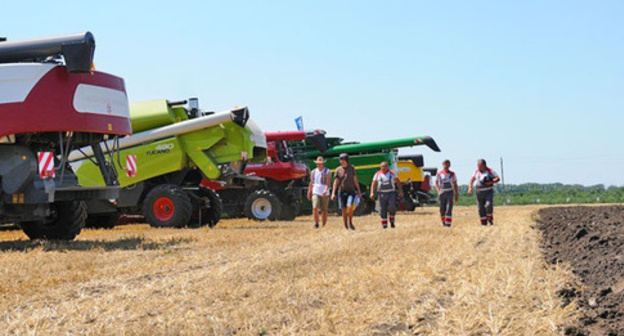 Cropland. Photo: Mikhail Stupin / Yugopolis