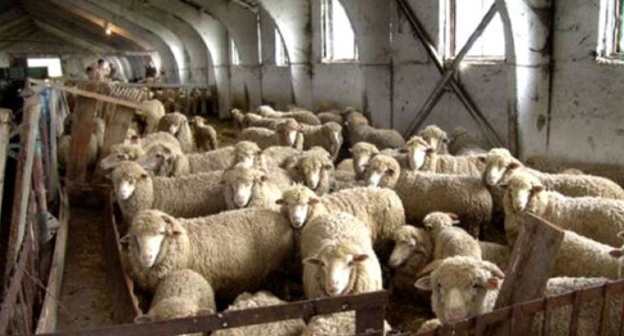 Farm in Dagestan. Photo: http://www.riadagestan.ru/