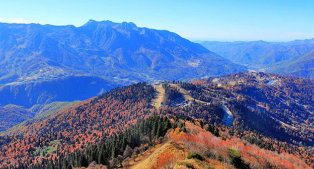 The Sochi Natural Reserve. Photo: SKas https://ru.wikipedia.org/