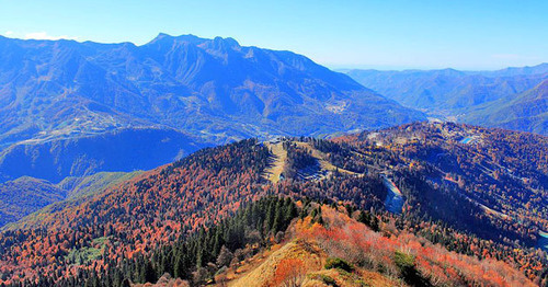 The Sochi Natural Reserve. Photo: SKas https://ru.wikipedia.org/