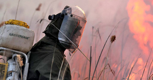 Greenpeace activist extinguishes the fire. Photo: http://www.greenpeace.org/russia/ru/news/blogs/forests/c/blog/50815/