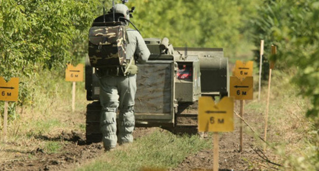 Demining the land. Photo: Sputnik/Said Tsarnaev