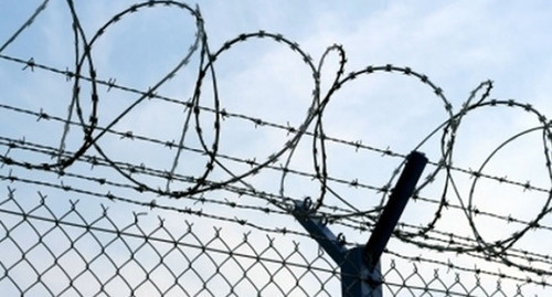 Concertina wire. Photo: http://kursk-izvestia.ru/news/15317/ Concertina wire. Photo: http://kursk-izvestia.ru/news/15317/