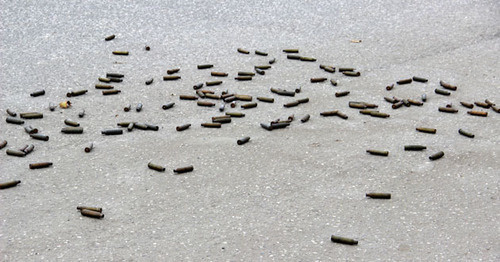 Empty shells left after attack of militants in Grozny. Photo by Magomed Magomedov for the 'Caucasian Knot'. 