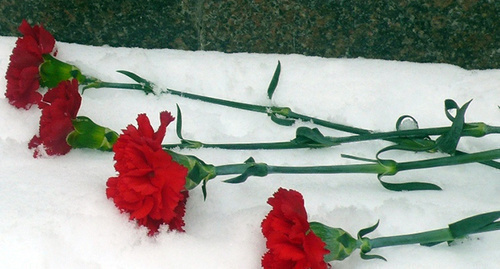 Funeral carnations. Photo: http://www.vstu.ru/news/2015/01/27/aktsiya-gvozdiki-na-snegu.html?clear_theme=1