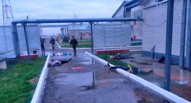 Attack on the military unit of the National Guard (Rosgvardia) in the village of Naurskaya, March 24, 2017. Photo: Rosgvardia community in VKontakte.ru Attack on the military unit of the National Guard (Rosgvardia) in the village of Naurskaya, March 24, 2017. Photo: Rosgvardia community in VKontakte.ru