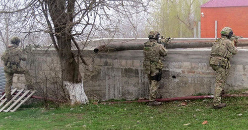 Special operation. Photo: http://nac.gov.ru