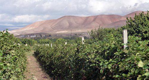 Ararat Province in Armenia. Photo by Armine Martirosyan for "Caucasian Knot"