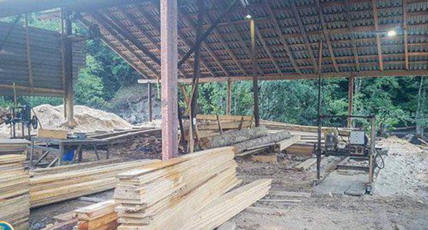 An illegal sawmill. Photo FB / Representatives of Investigation Service of the Ministry of Finance of Georgia