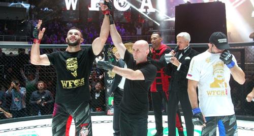 The fight tournament in mixed martial arts (MMA) held in Grozny on October 4. Photo http://www.grozny-inform.ru/main.mhtml?Part=12&amp;PubID=100915