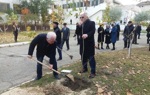 Activists planting trees in the Alley in memory of perished journalists at the Press House in Makhachkala, November 8, 2018. Phot by Rasul Magomedov for the Caucasian Knot