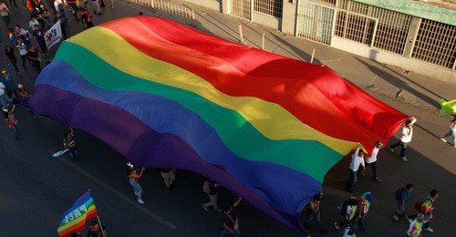 A march with the LGBT flag. Photo: REUTERS/Jose Luis Gonzalez