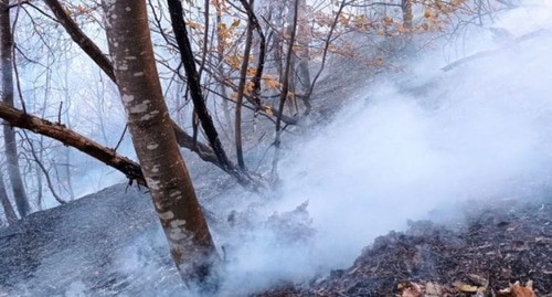 A fire in a forest due to shelling. Photo: https://vesti.az/socium/pozhar-proizoshedshij-v-lesnom-massive-v-rezultate-obstrela-armyanami-gyoranboya-potushen-obnovleno-420717