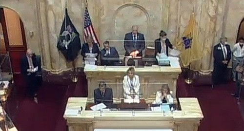 A session of the Senate deputies of the American state of New Jersey. Screenshot of the video https://www.facebook.com/steveoroho/videos/115554853989547/