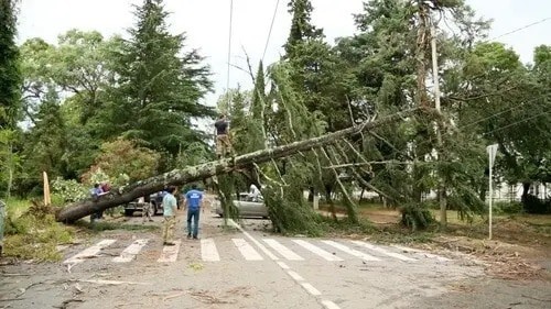Aftermath of the July 4 hurricane in Sukhumi. Photo: press service of the Ministry for Emergencies of Abkhazia
