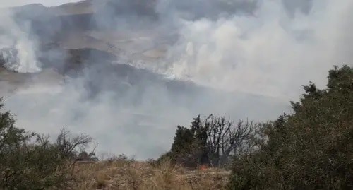 Fire in mountains of Armenia. Photo: press service of the Foundation for the Preservation of Wildlife and Cultural Assets
