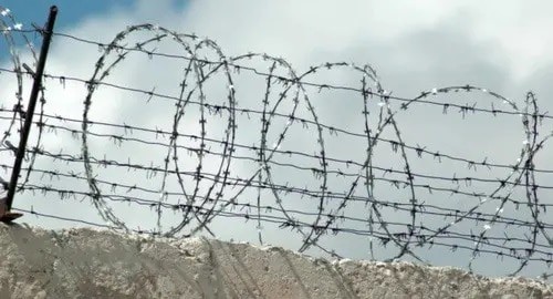Barbed wire. Photo: Elena Sineok / Yuga.ru
