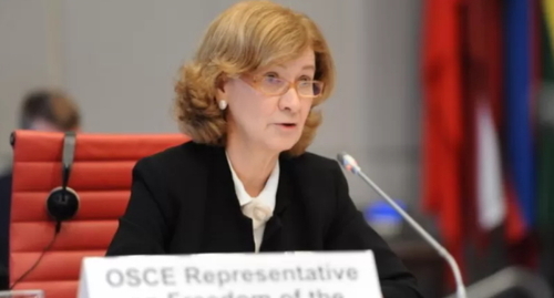 Teresa Ribeiro. Photo: OSCE press service, https://www.osce.org/ru