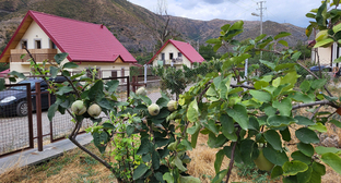Houses in the village of Akhavno. Photo by Alvard Grigoryan for the Caucasian Knot