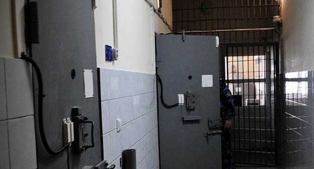 A colony. Photo by Yelena Sineok, Yuga.ru